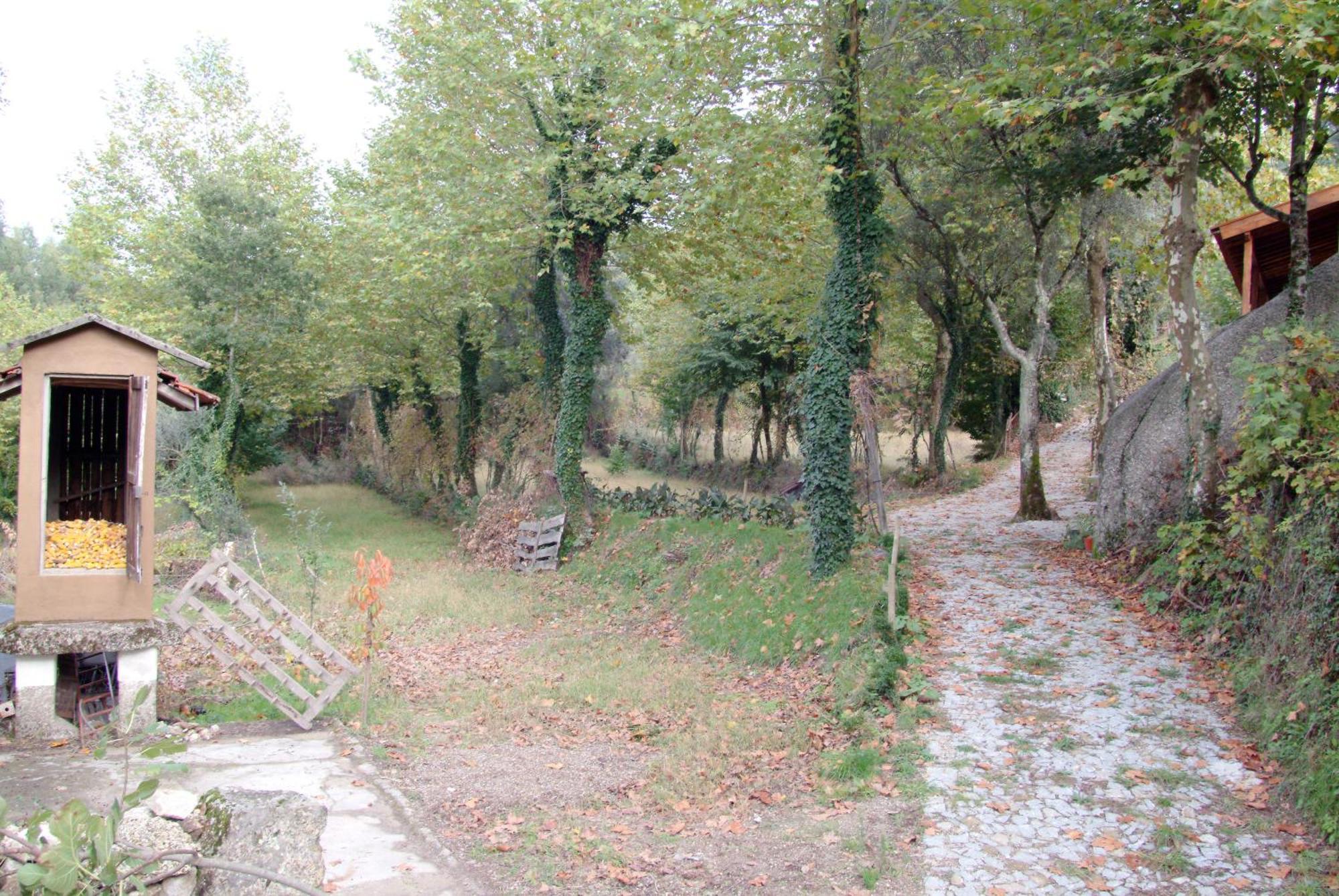 Quinta Da Veiga E Malhadoira Country house Vieira do Minho